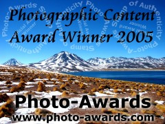 Leeside Farm Photography is a proud winner of the Photo-Awards Photographic Content Award.